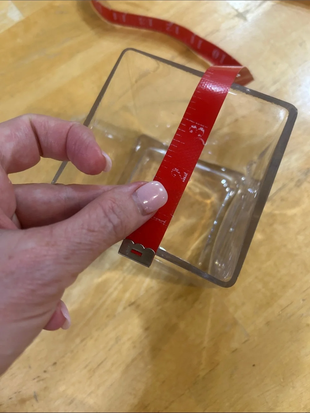 Clear Square Glass Vase / Container - Transparent
